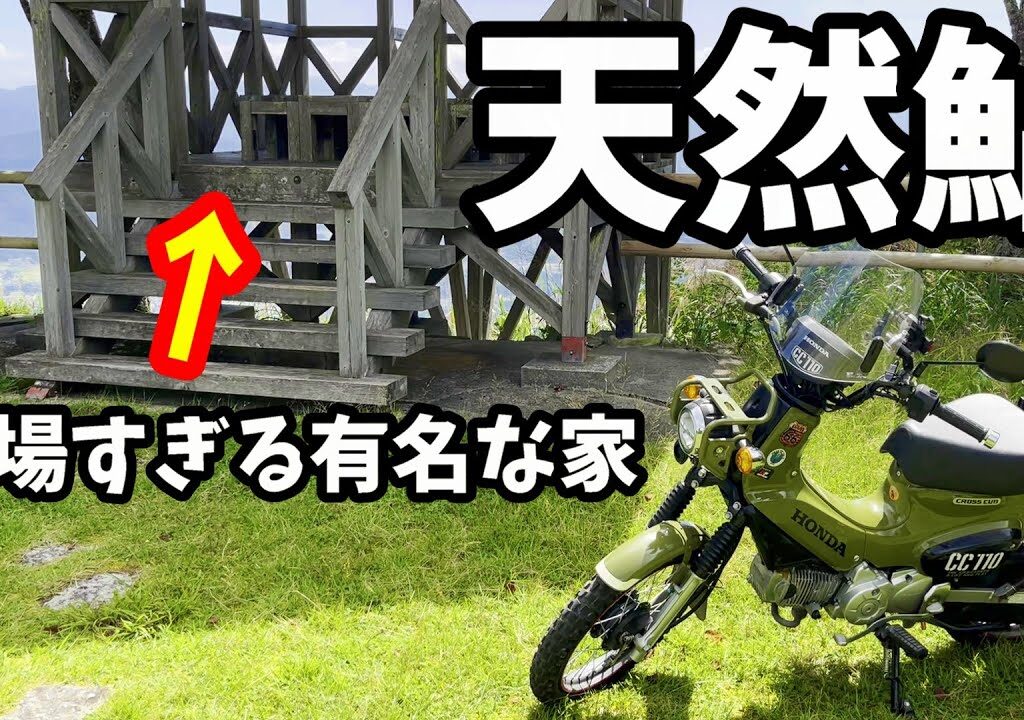 【天然鮎釣り】林道の奥に隠れた家を求め岐阜の魅力を食す