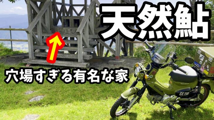 【天然鮎釣り】林道の奥に隠れた家を求め岐阜の魅力を食す