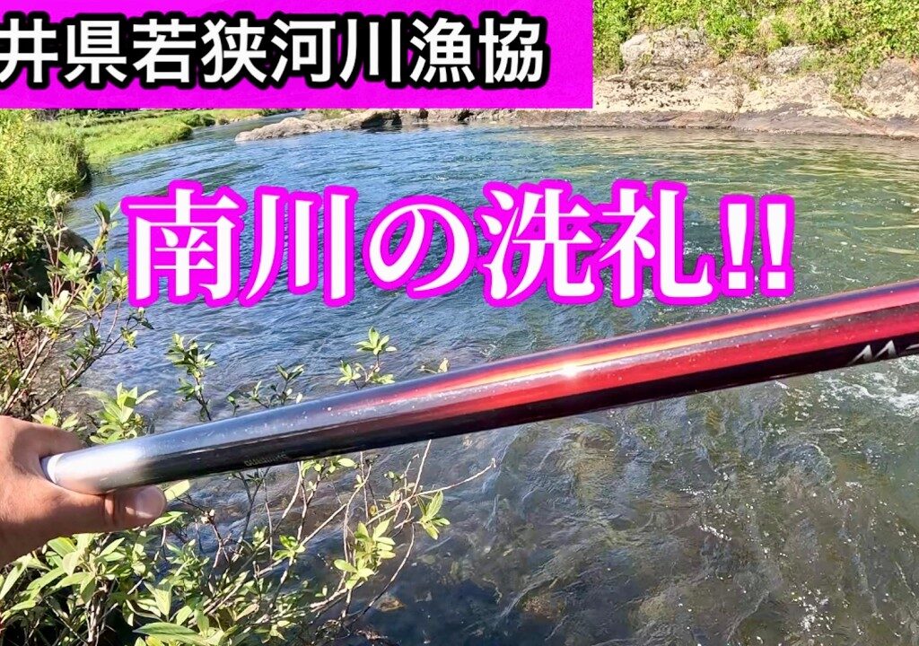 【福井県・南川】南川の洗礼！天然鮎の楽園で‥