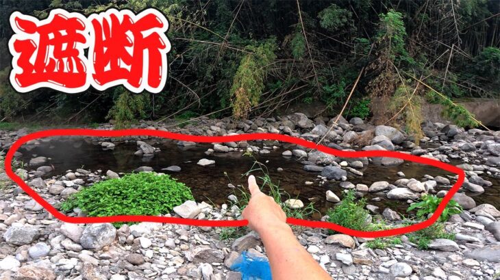 このエリアに大量の鮎が…