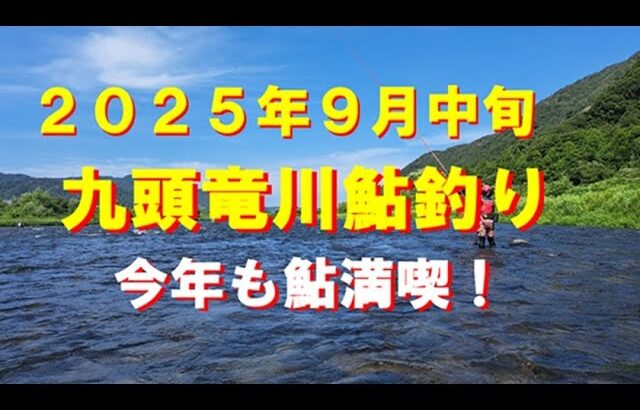 ２０２５年９月中旬、九頭竜川鮎釣り！２日目も満喫！