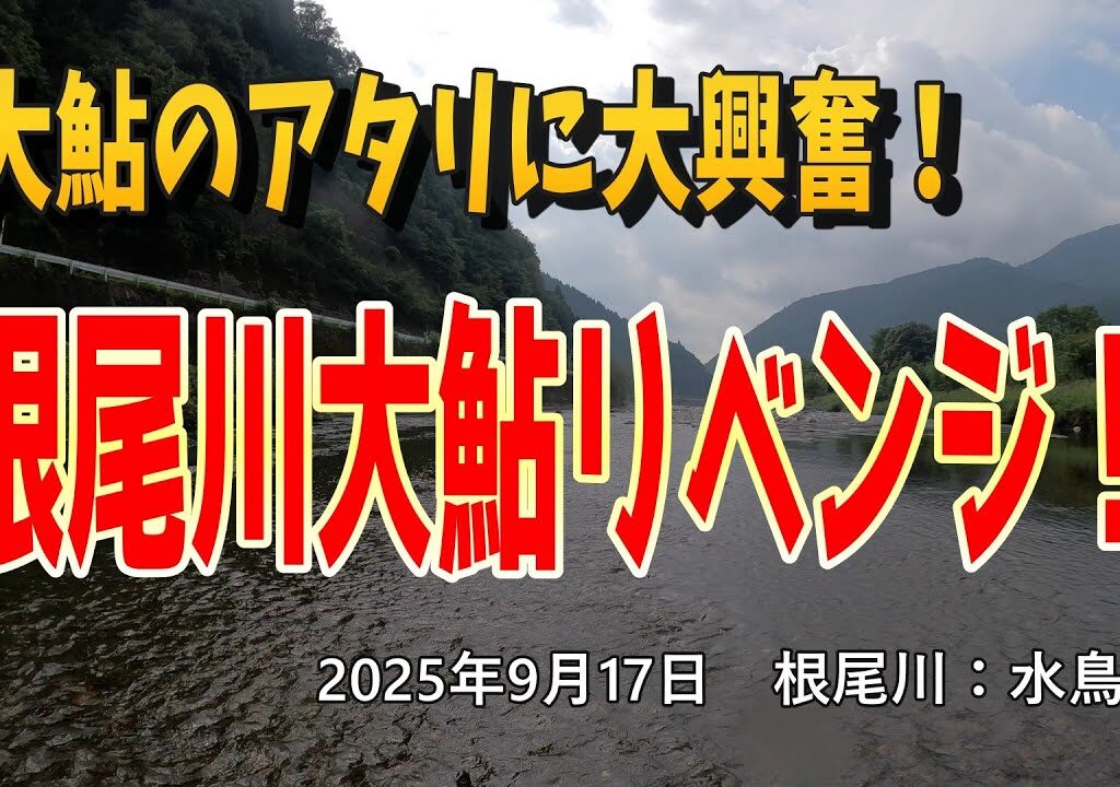 大鮎のアタリに大興奮！　根尾川大鮎リベンジ！