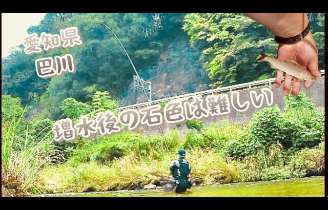 【鮎釣り】増水後の石色見て場所決め！！
