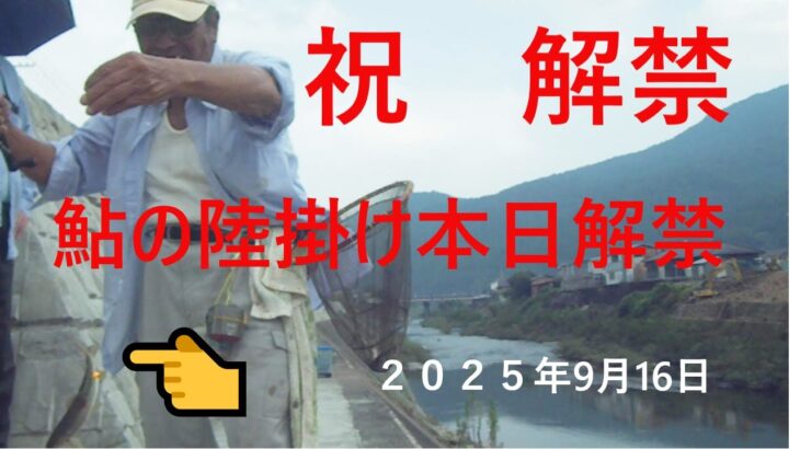 今年も鮎の陸掛けが解禁し　今年から私も弟子にしていただきました！