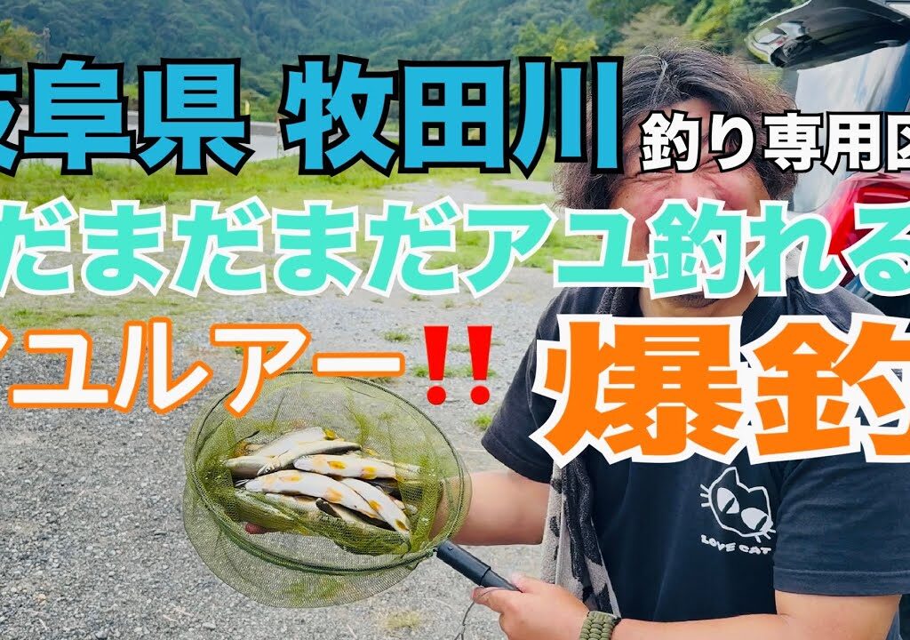 【爆釣鮎ルアー！】岐阜県牧田川でアユルアー！めちゃくちゃ釣れるよ！