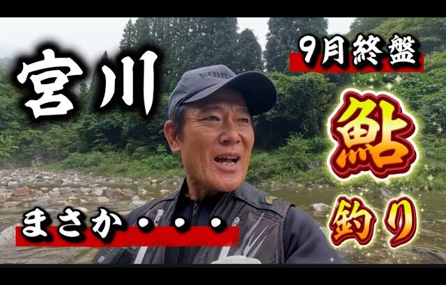 岐阜県　宮川の最終鮎釣りは豪雨　それでも９月の大鮎釣りは楽しかった