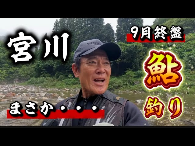 岐阜県　宮川の最終鮎釣りは豪雨　それでも９月の大鮎釣りは楽しかった