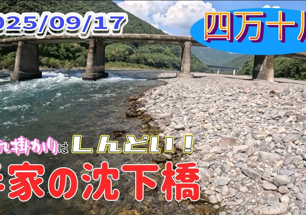 半家の沈下橋で鮎釣り、入れ掛かりはしんどいのです。