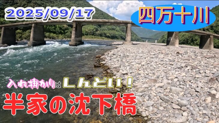 半家の沈下橋で鮎釣り、入れ掛かりはしんどいのです。