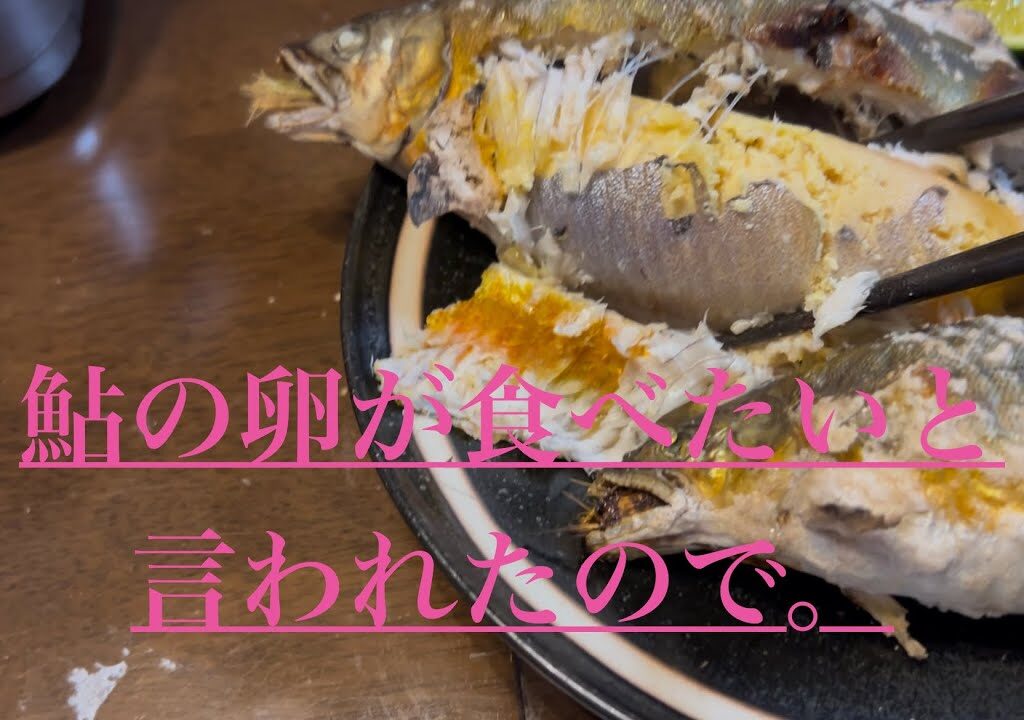 鮎の卵が食べたいと言われたので。獲りに行く編。ぶんよのぼんの日常#田舎暮らし#自然#美山町