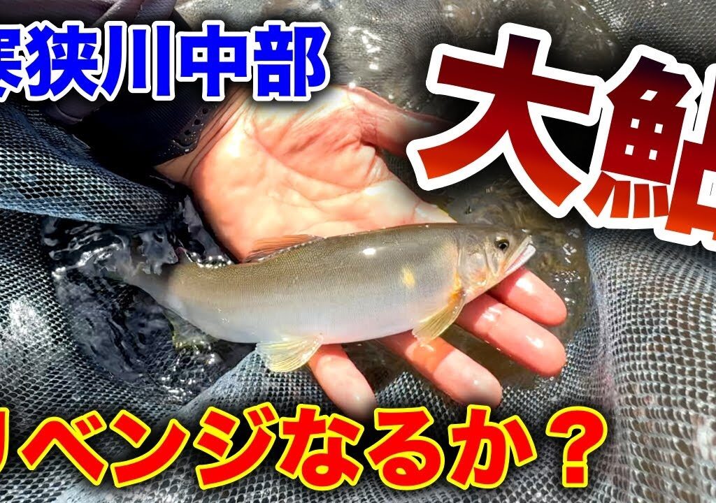 鮎釣り最終盤！！デカ鮎リベンジ！！豊川水系寒狭川中部。