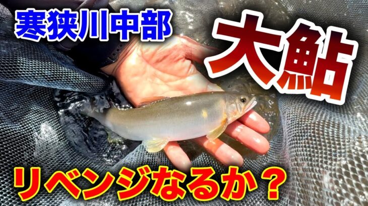 鮎釣り最終盤！！デカ鮎リベンジ！！豊川水系寒狭川中部。