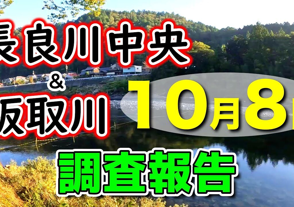 10月の3連休、ここらで竿納めにしますか？連休前に中央管轄の最新釣況を5カ所巡って調査【2025年鮎釣り】