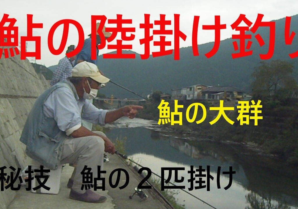 鮎の陸掛け釣り　アユの大群　秘技2匹掛け