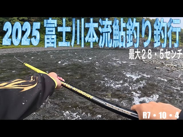 2025 富士川本流鮎釣り釣行