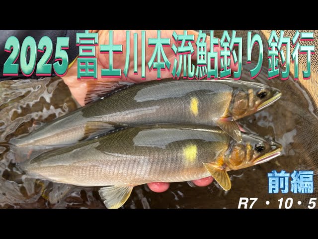 2025 富士川本流鮎釣り釣行