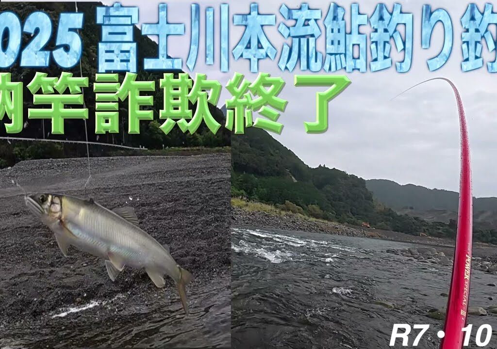 2025富士川本流鮎釣り釣行　納竿詐欺終了