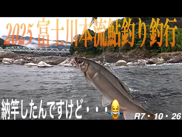 2025 富士川本流鮎釣り釣行