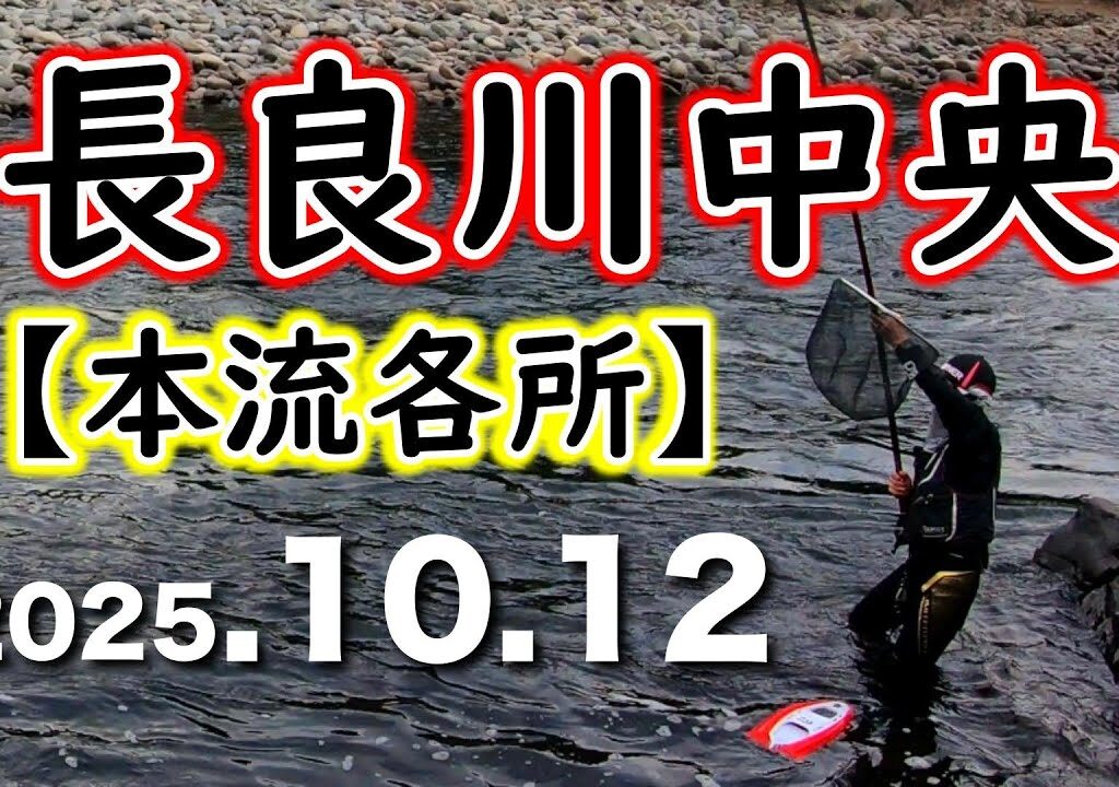 長良川中央、まだまだ初心者女性でも釣れましたが、かなり条件にシビアになってきました【2025年鮎釣り】