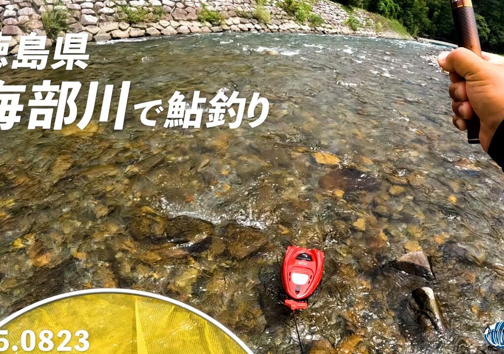 徳島県海部川で鮎釣り【2025.0823】