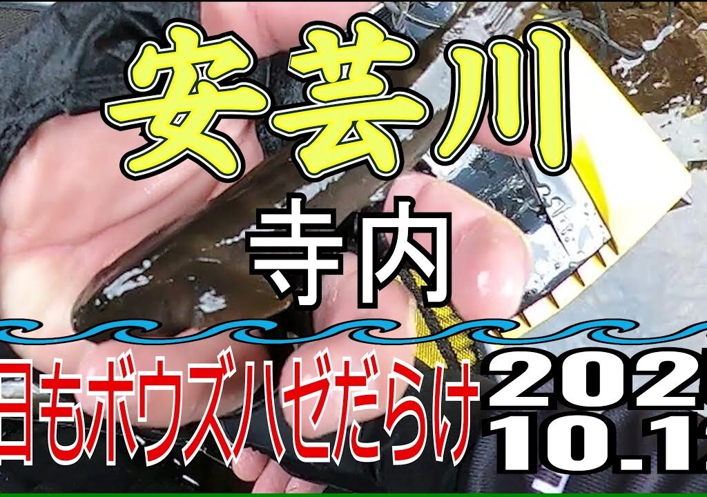 アユの友釣り 安芸川(高知県) 寺内 2025.10.12