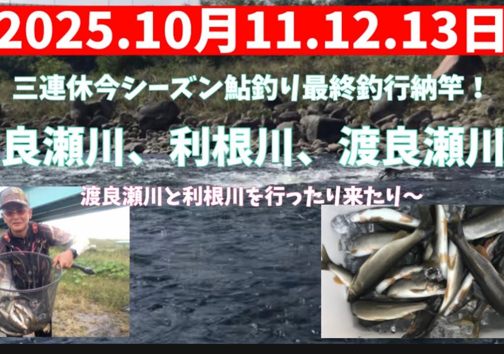 2025.10月11.12.13三連休今シーズン鮎釣り納竿！　#釣り #鮎釣り #サンテック #サンライン #渡良瀬川 #利根川