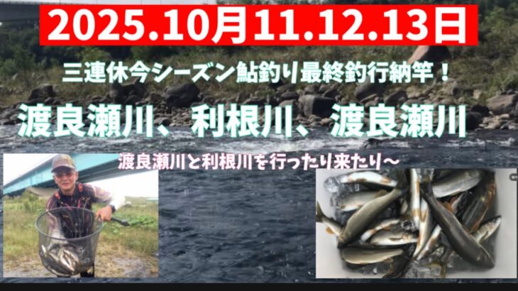 2025.10月11.12.13三連休今シーズン鮎釣り納竿！　#釣り #鮎釣り #サンテック #サンライン #渡良瀬川 #利根川
