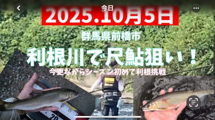2025.10月5日.利根川で尺鮎狙い！#釣り #鮎釣り #サンテック #サンライン #利根川