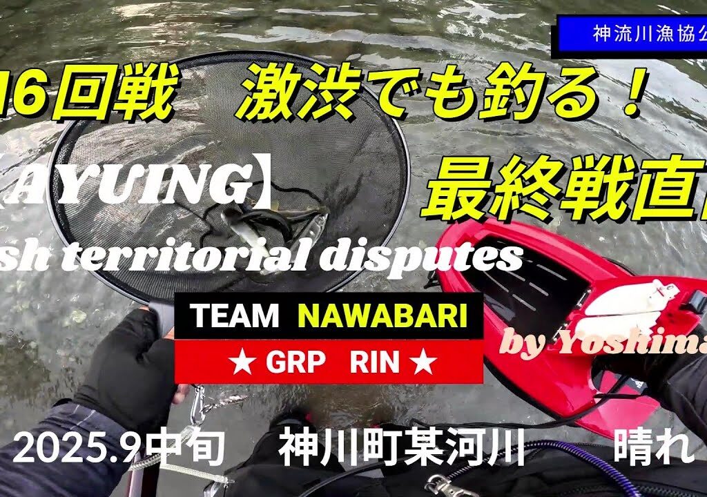 2025.9中旬　【アユルアー】終盤戦　鮎をルアーで釣る！　（埼玉県神川町某河川）