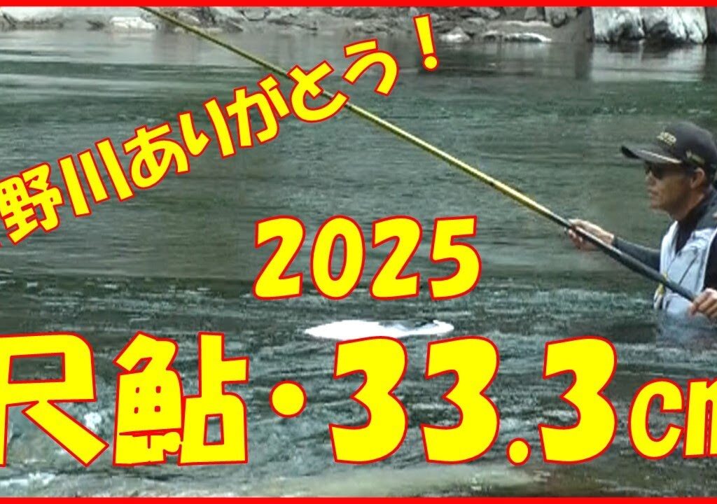 2025/10/12 四国三郎・吉野川【尺鮎ゲット！】釣れたらいいね！なんちゃんチャンネル