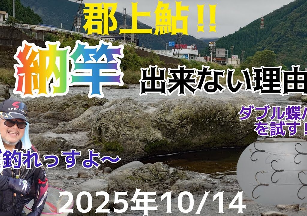 郡上鮎‼️納竿出来ない理由。ダブル蝶バリを試す‼️2025年10/14