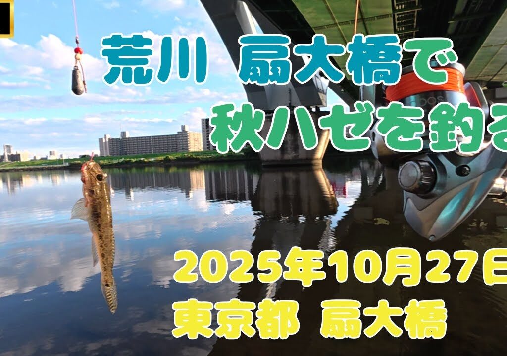 扇大橋でハゼ釣りに挑戦 2025年10月27日 東京 荒川  #釣り #fishing  #荒川 #ハゼ #扇大橋