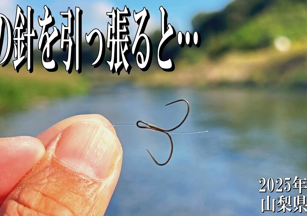 美味しい川魚が集結する場所でちょっと……って思う釣りを試してみたら奥深さを知れました。2025年10月28日山梨県桂川