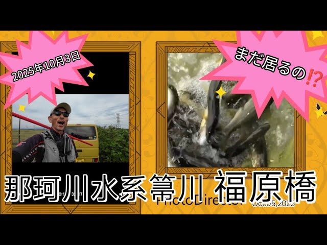 2025年10月3日那珂川鮎釣りポイント支流箒川福原堰上流