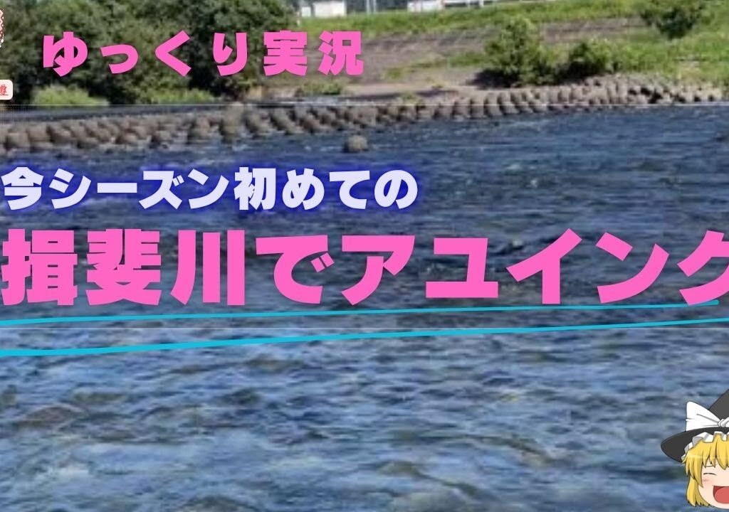 【ゆっくり実況】【揖斐川アユイング】【ゆっくり釣り】2025年9月30日揖斐川中部漁協管内でのアユイングです。