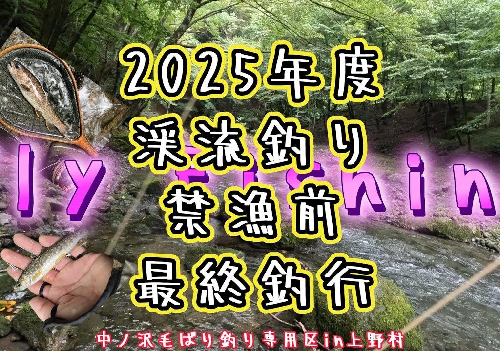 【フライフィッシング】2025年度渓流釣り最終釣行～中ノ沢毛ばり釣り専用区in上野村～
