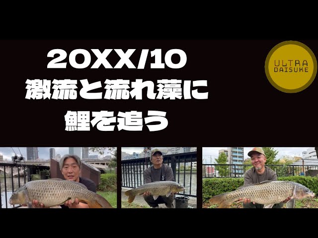 【鯉釣り】20XX/10 激流と流れ藻に鯉を追う