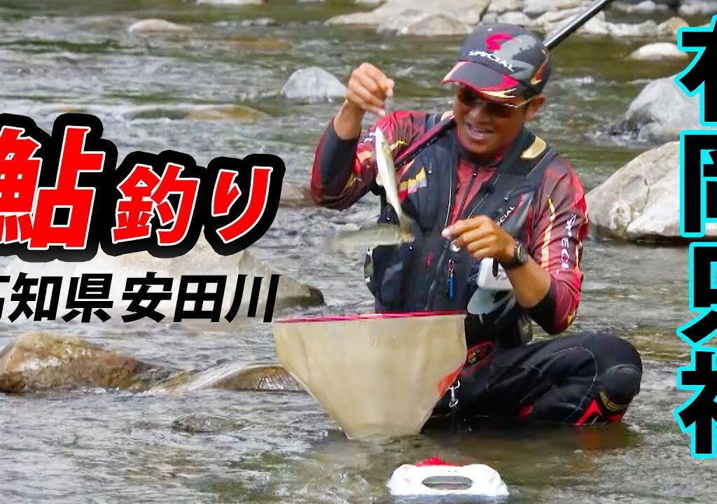 鮎シーズン終盤！有岡只祐が安田川で釣りなるシーズンへ期待を膨らませる 2/2 『鮎2019』【釣りビジョン】