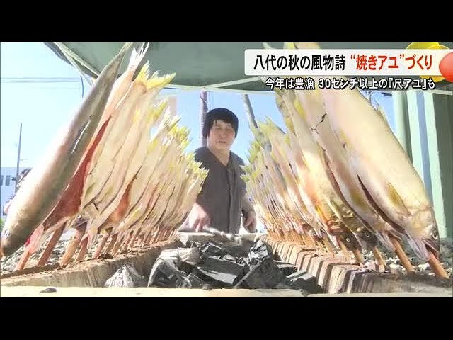 八代の秋の風物詩 『焼きアユ』作り始まる【熊本】 (25/10/10 19:00)