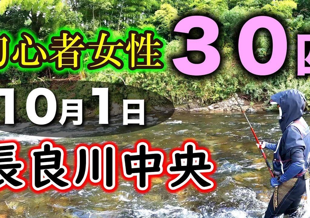 【初心者女性が30匹の釣果】10月に入った長良川で友釣り２年生が元気で黄色い良型と遊びました【2025年アユ釣り】