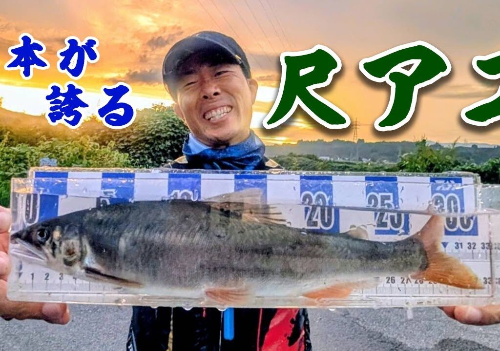 飛び出した32.2㎝の大鮎！これぞ球磨川、川辺川のポテンシャル！