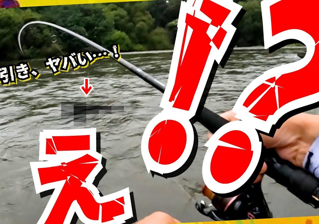 アユ狙いのはずが…まさかの60cmニゴイ降臨！？