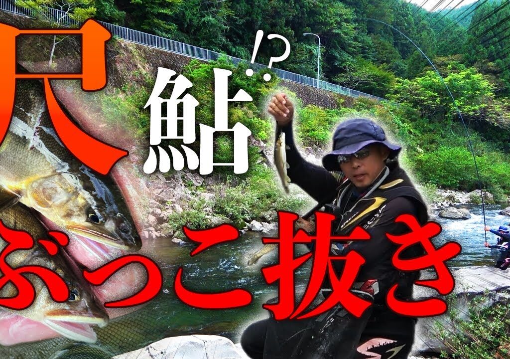 8ｍのパワーロッドで鮎をぶっこ抜き！【鮎釣り】
