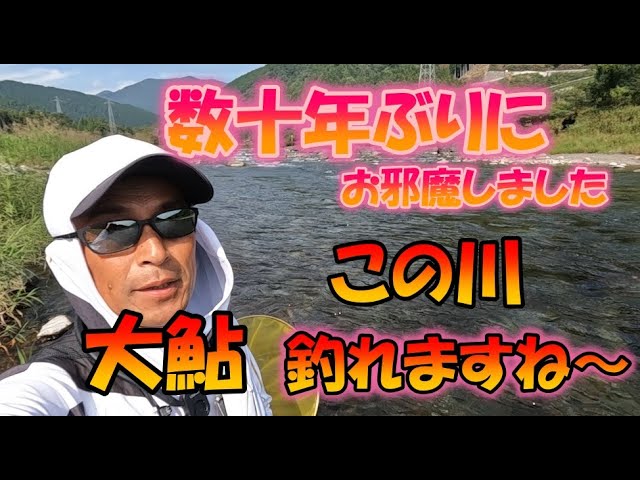 #92【この川でもデカ鮎　パート２！】後半の根尾川で大鮎釣りを楽しむ！【島　啓悟☆鮎　入れ追い】
