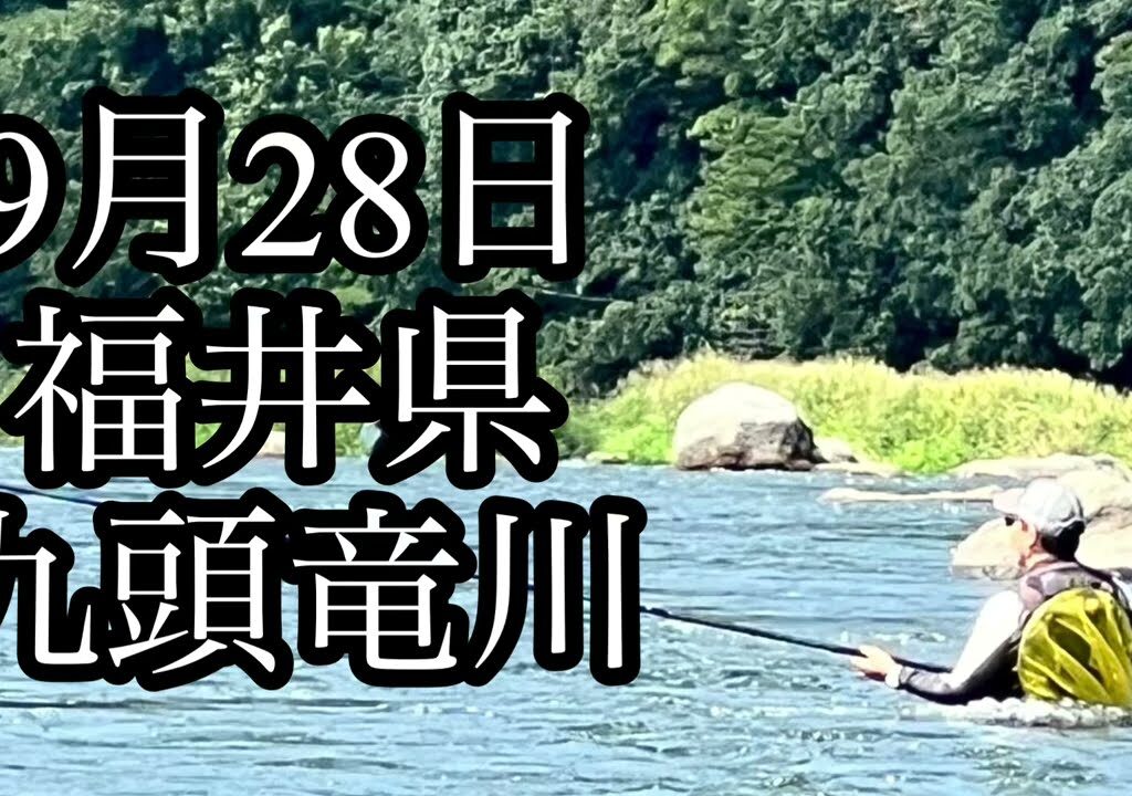 9月28日　福井県　九頭竜川　鮎釣り