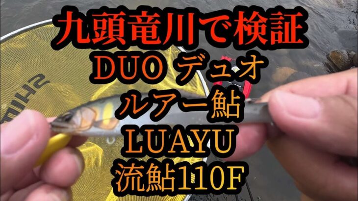 【ルアー鮎  DUO  デュオ 】九頭竜川で検証　LUAYU 流鮎110F
