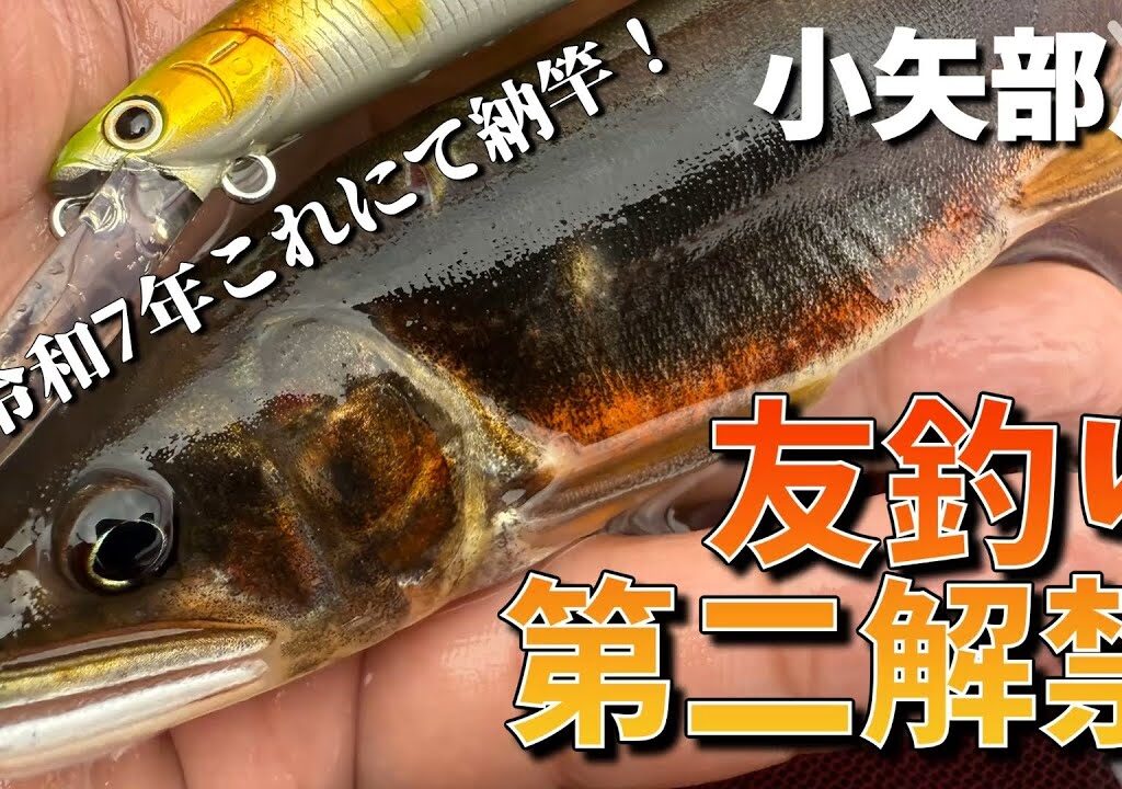 【友釣り】これにて納竿！富山河川の第二解禁で最後の大鮎チャレンジ【R7.10.13】