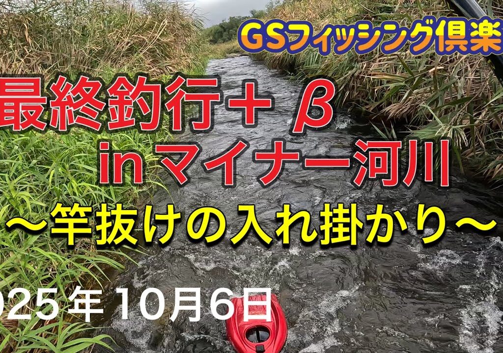 《鮎釣り》最終釣行＋β inマイナー河川 竿抜けの入れ掛かり アバンサー75M【Vol.57】GSフィッシング倶楽部