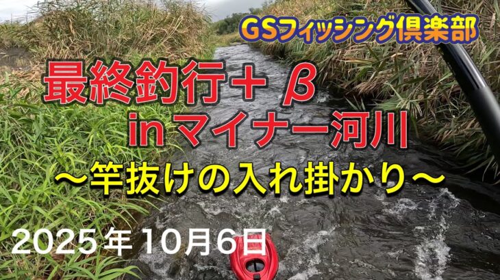 《鮎釣り》最終釣行＋β inマイナー河川 竿抜けの入れ掛かり アバンサー75M【Vol.57】GSフィッシング倶楽部