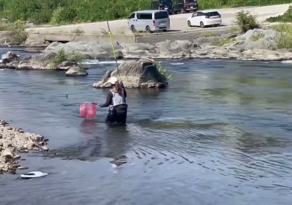 奈良県吉野川で尺鮎狙い！　巨鮎　抜きました！